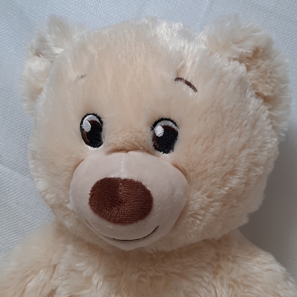 Build•A•Bear Lil' Cub Pudding 15"/Carrier & Shoes - Picture 8 of 15